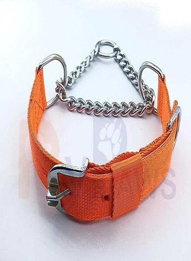 Pups&Pets طوق كلاب متين من النايلون المتين من Pups&Pets، نصف ونصف، بتصميم ماسي، طوله 1.25 بوصة، مثالي لتدريب الكلاب العملاقة والكبيرة (برتقالي). - Image 1